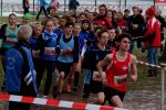 Timon nach dem Start