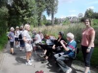 Walking Tour in Bonn